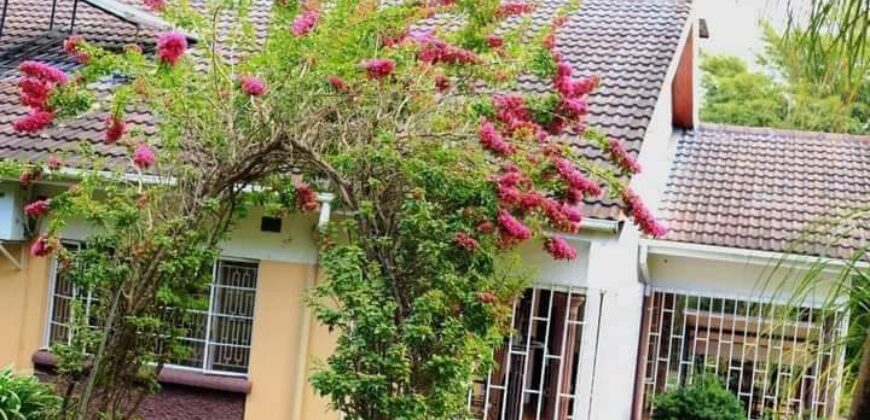 EXECUTIVE HOUSE TO LET IN MALAWI SUNNYSIDE 