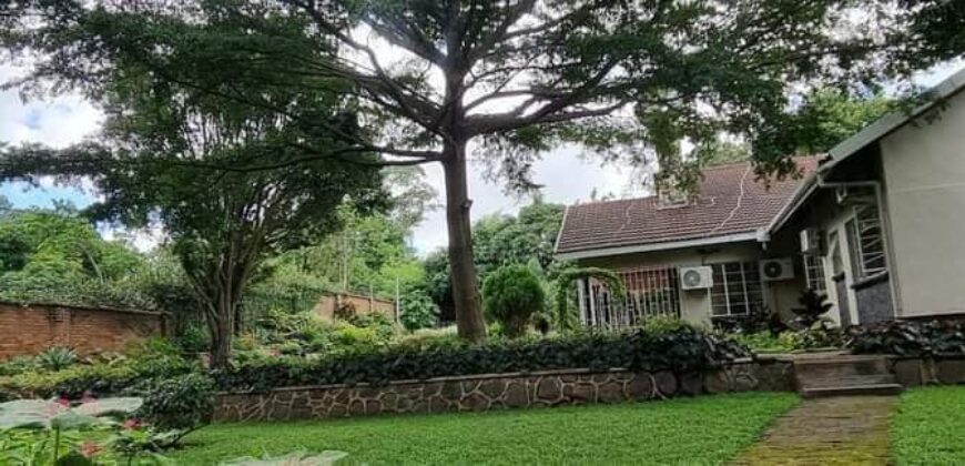 EXECUTIVE HOUSE TO LET IN MALAWI SUNNYSIDE 