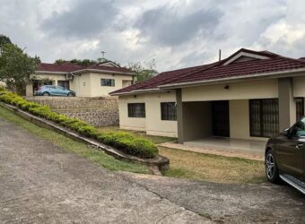 Town houses Available for rent in Sunnyside – Wilson road