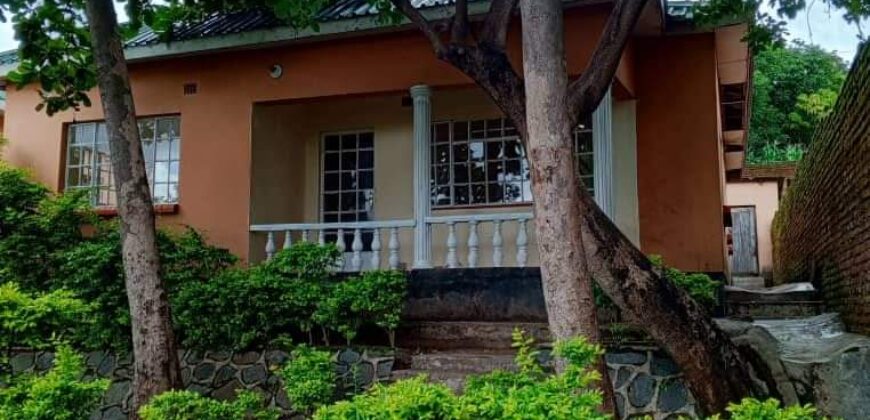 A beautiful 3 bedroom house for sale at MALAWI