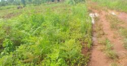 Plot for sale in MALAWI Mzuzu Luwinga