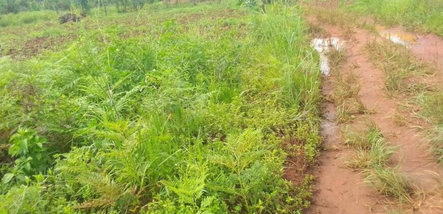 Plot for sale in MALAWI Mzuzu Luwinga