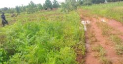 Plot for sale in MALAWI Mzuzu Luwinga