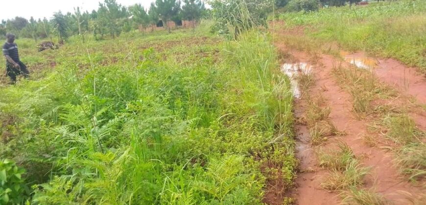 Plot for sale in MALAWI Mzuzu Luwinga