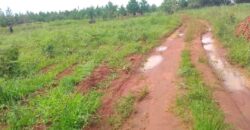 Plot for sale in MALAWI Mzuzu Luwinga