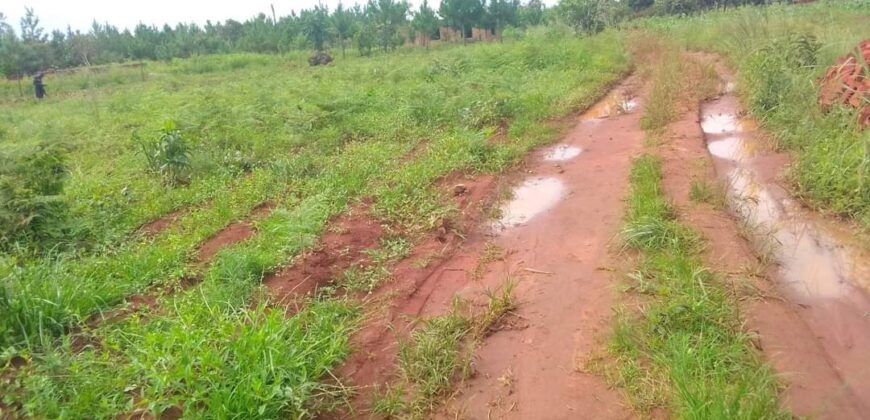 Plot for sale in MALAWI Mzuzu Luwinga