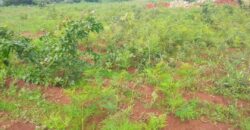 Plot for sale in MALAWI Mzuzu Luwinga