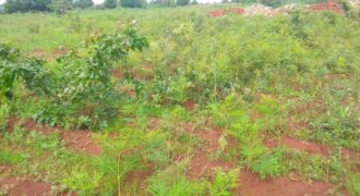 Plot for sale in MALAWI Mzuzu Luwinga