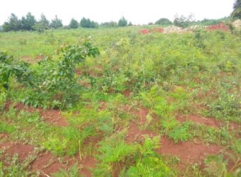 Plot for sale in MALAWI Mzuzu Luwinga