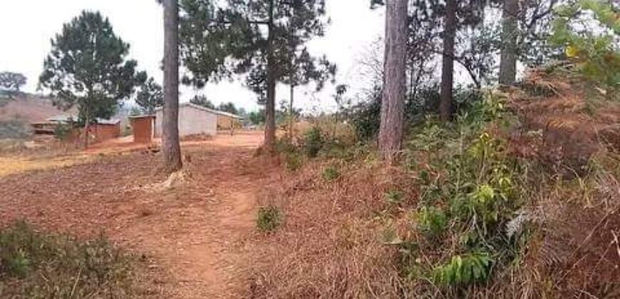 Plot for sale in malawi- Mzuzu Nkhorongo