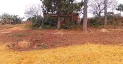 Plot for sale in malawi- Mzuzu Nkhorongo