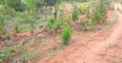 Plot for sale in MALAWI Mzuzu Luwinga