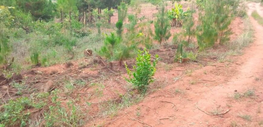 Plot for sale in MALAWI Mzuzu Luwinga