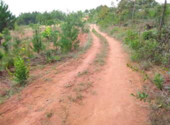 Plot for sale in MALAWI Mzuzu Luwinga