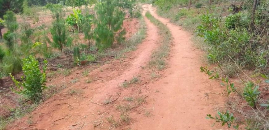 Plot for sale in MALAWI Mzuzu Luwinga