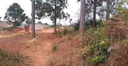 Plot for sale in Mzuzu Nkhorongo