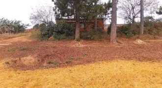 Plot for sale in Mzuzu Nkhorongo