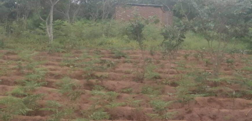 Plot for sale in malawi- Mzuzu Luwinga