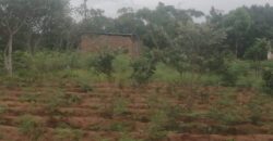 Plot for sale in malawi- Mzuzu Luwinga