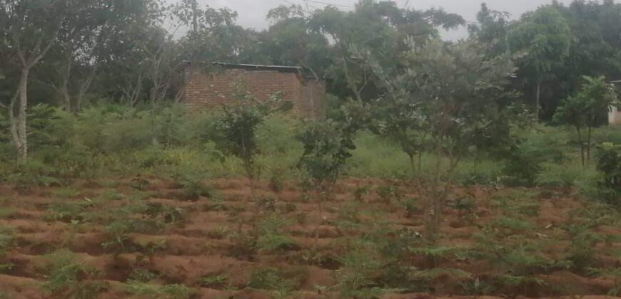 Plot for sale in malawi- Mzuzu Luwinga