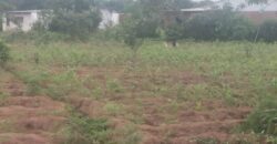 Plot for sale in malawi- Mzuzu Luwinga