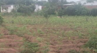 Plot for sale in malawi- Mzuzu Luwinga