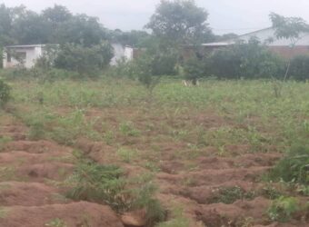 Plot for sale in malawi- Mzuzu Luwinga