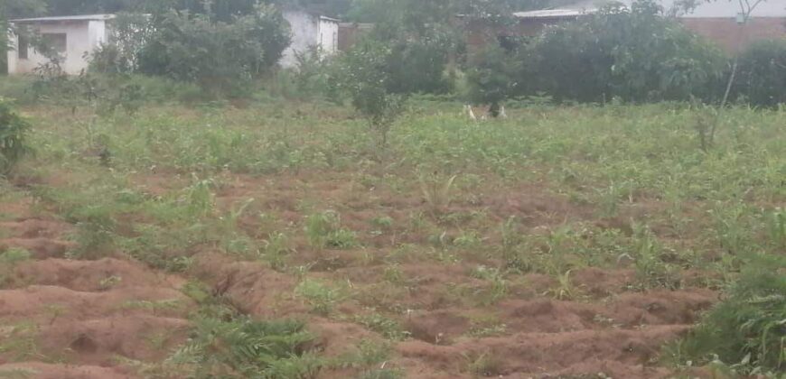 Plot for sale in malawi- Mzuzu Luwinga