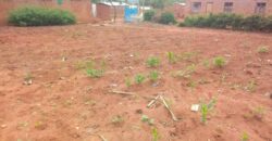 Plot for sale in Malawi Mzuzu Luwinga