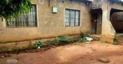 3 BEAUTIFUL HOUSES FOR SELL IN ZOMBA CHINAMWALI CITY BOUNDARY