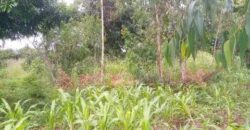 Bare land for sale in Zomba at Chikanda