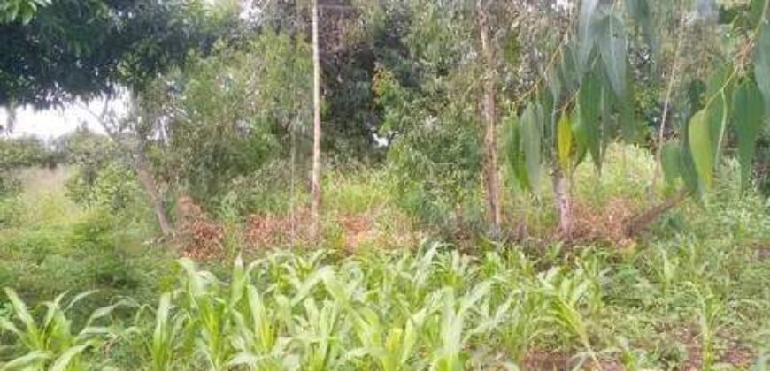 Bare land for sale in Zomba at Chikanda