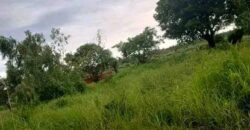 Bare land for sale in Zomba at Chikanda