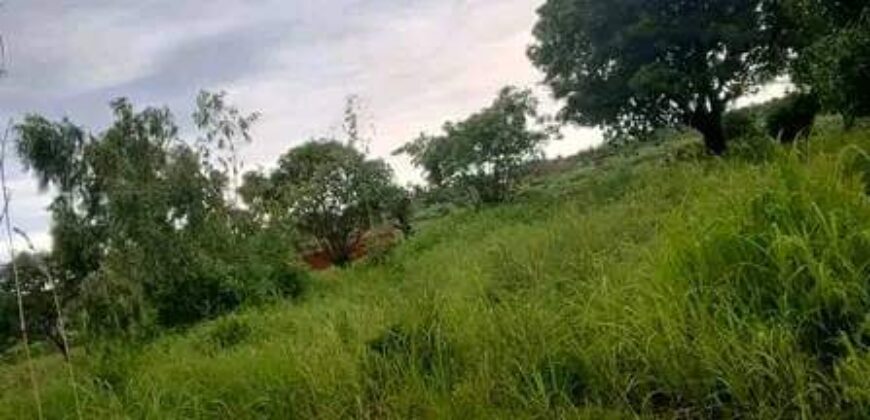 Bare land for sale in Zomba at Chikanda