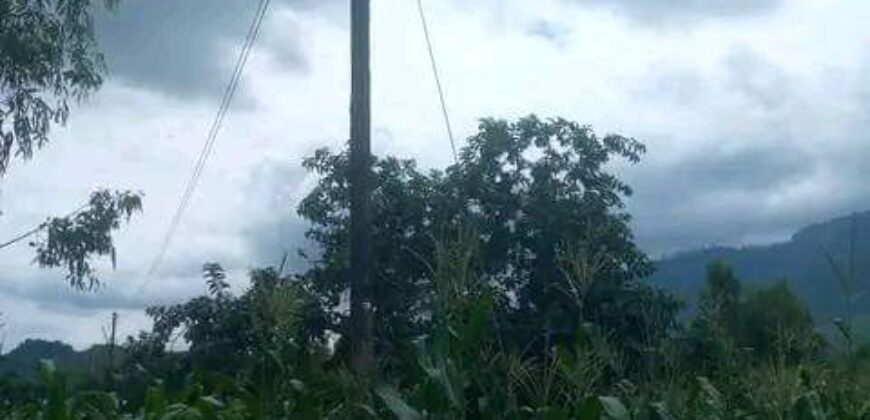 Bare land for sale in Zomba at Chikanda