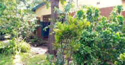 HOUSE FOR SALE AT ZOMBA MATAWALE NEAR TARMAC ROAD