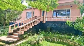 HOUSE FOR SALE AT ZOMBA KALIMBUKA 3 BEDROOMS LIVING ROOM DINNING ROOM STORES