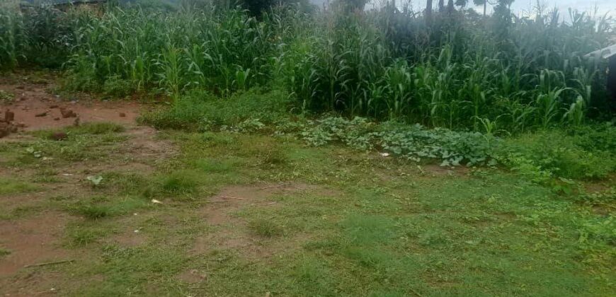 Plot for sale in Zomba Chikanda suitable for school hostels. 