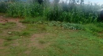 Plot for sale in Zomba Chikanda suitable for school hostels. 