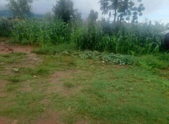 Plot for sale in Zomba Chikanda suitable for school hostels. 