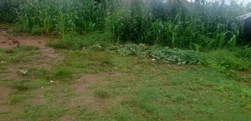 Plot for sale in Zomba Chikanda suitable for school hostels. 