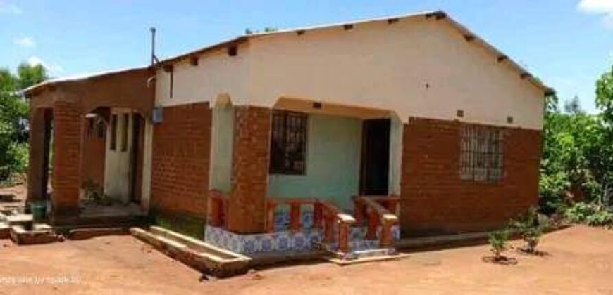 Beautiful house for sell in Zomba at Chinamwali near market