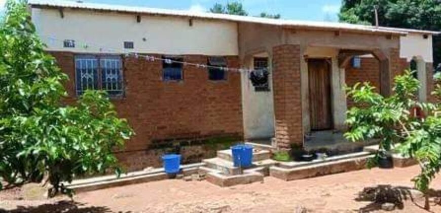 Beautiful house for sell in Zomba at Chinamwali near market