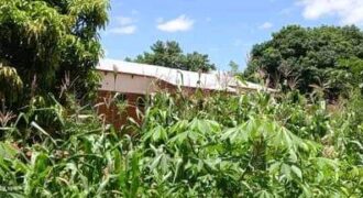 Beautiful house for sell in Zomba at Chinamwali near market