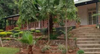 COLONIAL HOUSE FOR SALE AT ZOMBA CITY ITS A BEAUTIFUL AND FULLY TILES AND CEILING.
