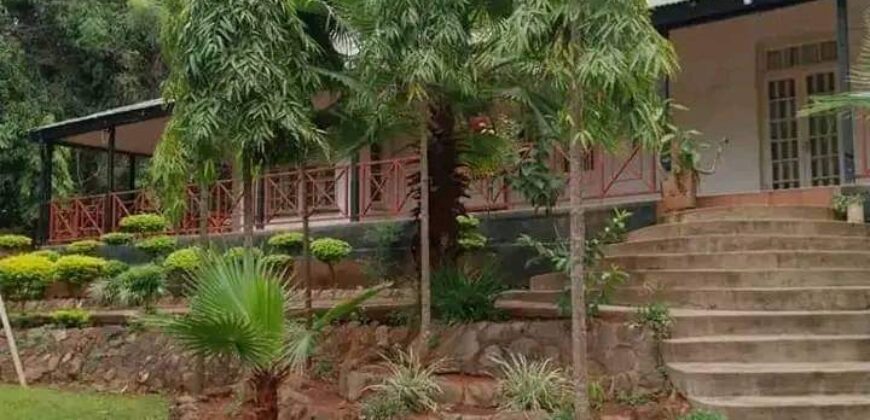 COLONIAL HOUSE FOR SALE AT ZOMBA CITY ITS A BEAUTIFUL AND FULLY TILES AND CEILING.