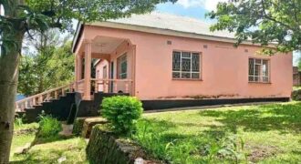 HOUSE FOR SALE AT ZOMBA KALIMBUKA BEAUTIFUL YARD AND COOL AREA , 3 BEDROOMS,