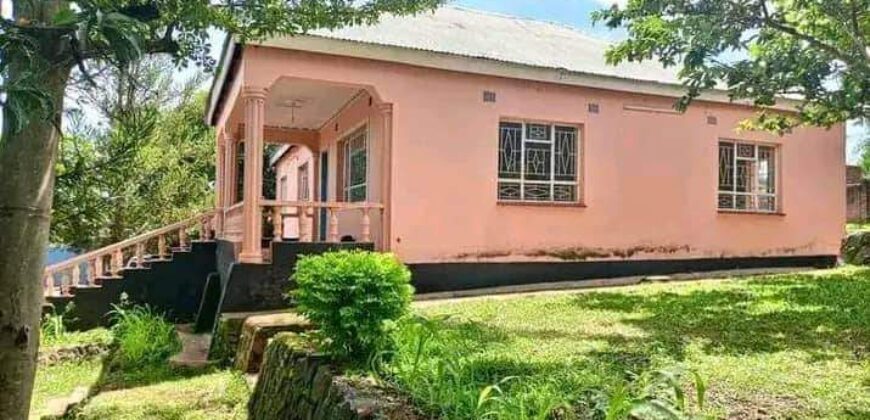 HOUSE FOR SALE AT ZOMBA KALIMBUKA BEAUTIFUL YARD AND COOL AREA , 3 BEDROOMS,