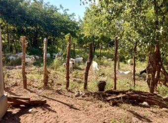 FARM FOR SALE AT CHIKWAWA PALI MBUZI 45 MAKOLA AMBUZI