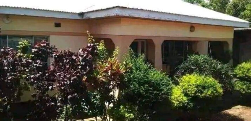 HOUSE FOR SALE AT ZOMBA